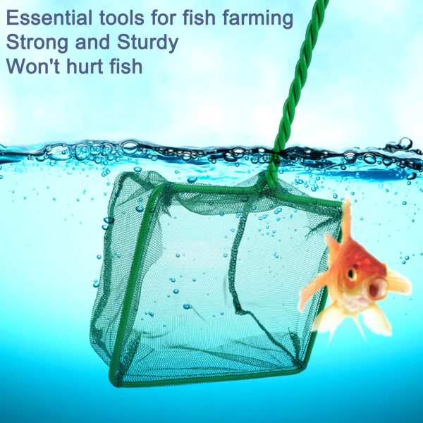 2 Pack Aquarium Fish Nets, DSSPORT 4 Inch Small Mesh Fish Catch Nets with Plastic Handle Green (Pine Green) - Image 5