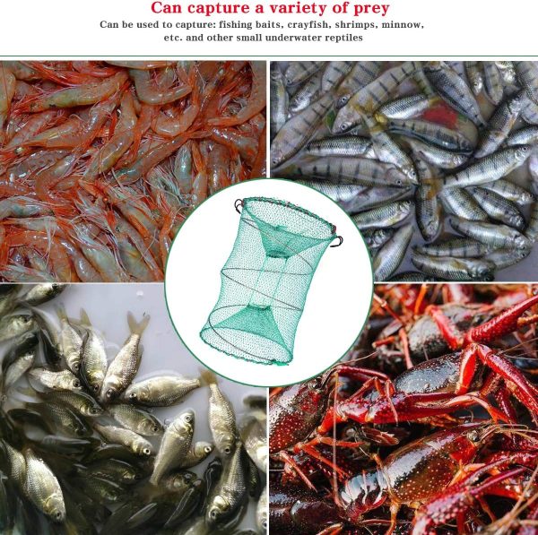 Drasry Foldable Fishing Trap for Bait Shrimp Crawfish Minnow Net Portable Accessories 11.8 x 11.8 x 15.7 (30cm x 40cm) 1/4 in Mesh Collapsible Fish Trap - Image 5